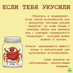 клещи_5